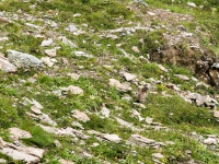 AX2006-Garmisch-Gardasee-03-Sur_En-036