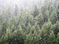 AX2006-Garmisch-Gardasee-06-Gaviapass-011