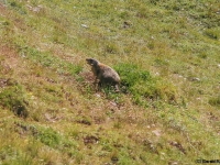 AX2007-Schliersee-Monte_Grappa-03-Luesen-019