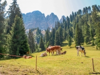 AX2007-Schliersee-Monte_Grappa-04-Sankt_Ulrich-011