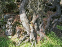 AX2007-Schliersee-Monte_Grappa-04-Sankt_Ulrich-032