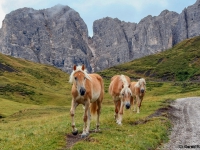 AX2007-Schliersee-Monte_Grappa-05-Paneveggo-011