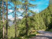 AX2007-Schliersee-Monte_Grappa-06-Passo_Brocon-008