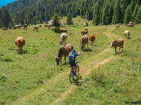 AX2007-Schliersee-Monte_Grappa-06-Passo_Brocon-028