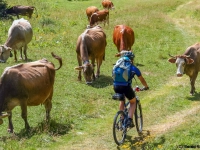 AX2007-Schliersee-Monte_Grappa-06-Passo_Brocon-029