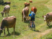 AX2007-Schliersee-Monte_Grappa-06-Passo_Brocon-030