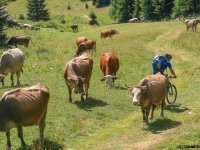 AX2007-Schliersee-Monte_Grappa-06-Passo_Brocon-031