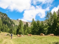 AX2007-Schliersee-Monte_Grappa-06-Passo_Brocon-033