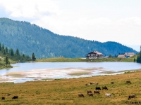 AX2007-Schliersee-Monte_Grappa-06-Passo_Brocon-038