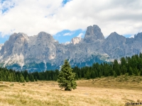 AX2007-Schliersee-Monte_Grappa-06-Passo_Brocon-041