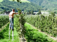 AX2008-Ortler_Umrundung-02-Sankt_Wallburg-010