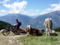 AX2008-Ortler_Umrundung-02-Sankt_Wallburg-024