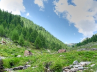 AX2008-Ortler_Umrundung-03-Rabbi-009