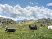 AX2008-Ortler_Umrundung-03-Rabbi-026