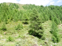 AX2008-Ortler_Umrundung-03-Rabbi-041