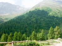 AX2008-Ortler_Umrundung-04-Passo_Tornale-008