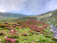 AX2008-Ortler_Umrundung-04-Passo_Tornale-011