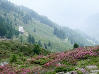 AX2008-Ortler_Umrundung-04-Passo_Tornale-012