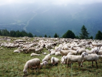 AX2008-Ortler_Umrundung-05-Santa_Catarina-016