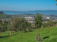 AX2009-Bodensee-Gardasee-01-Heiden-030