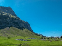AX2009-Bodensee-Gardasee-02-Unterwasser-028