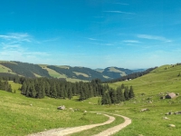 AX2009-Bodensee-Gardasee-02-Unterwasser-045