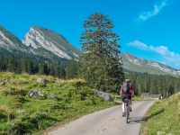 AX2009-Bodensee-Gardasee-03-Mitloedi-009