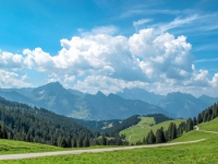 AX2009-Bodensee-Gardasee-03-Mitloedi-022