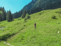 AX2009-Bodensee-Gardasee-03-Mitloedi-033