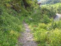 AX2009-Bodensee-Gardasee-04-Schiers-012