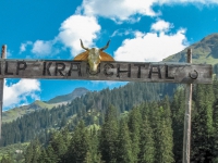 AX2009-Bodensee-Gardasee-04-Schiers-019