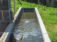 AX2009-Bodensee-Gardasee-04-Schiers-024