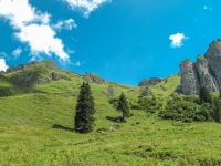 AX2009-Bodensee-Gardasee-04-Schiers-028