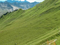 AX2009-Bodensee-Gardasee-04-Schiers-048