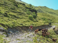 AX2009-Bodensee-Gardasee-04-Schiers-054
