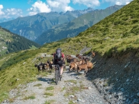 AX2009-Bodensee-Gardasee-04-Schiers-055