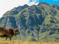 AX2009-Bodensee-Gardasee-04-Schiers-056