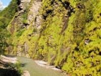 AX2009-Bodensee-Gardasee-04-Schiers-069