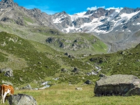 AX2009-Bodensee-Gardasee-05-S_Chanf-039