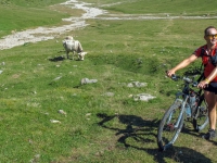 AX2009-Bodensee-Gardasee-06-Tirano-017