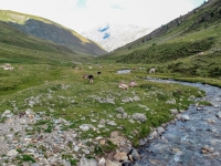 AX2009-Bodensee-Gardasee-06-Tirano-047