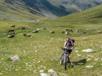 AX2009-Bodensee-Gardasee-06-Tirano-054