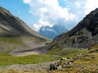 AX2009-Bodensee-Gardasee-06-Tirano-057