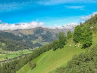 AX2010-Mittenwald-Gardasee-03-Moos-013