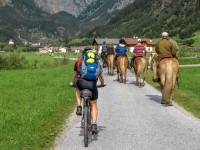 AX2010-Mittenwald-Gardasee-03-Moos-014
