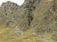 AX2010-Mittenwald-Gardasee-03-Moos-025