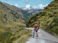 AX2010-Mittenwald-Gardasee-03-Moos-026