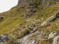 AX2010-Mittenwald-Gardasee-03-Moos-028