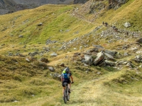 AX2010-Mittenwald-Gardasee-03-Moos-035