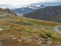 AX2010-Mittenwald-Gardasee-03-Moos-054